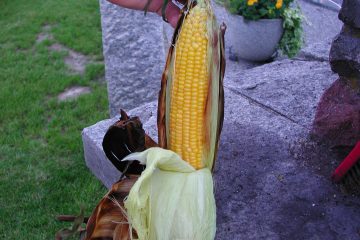 Zuckermais vom Grill